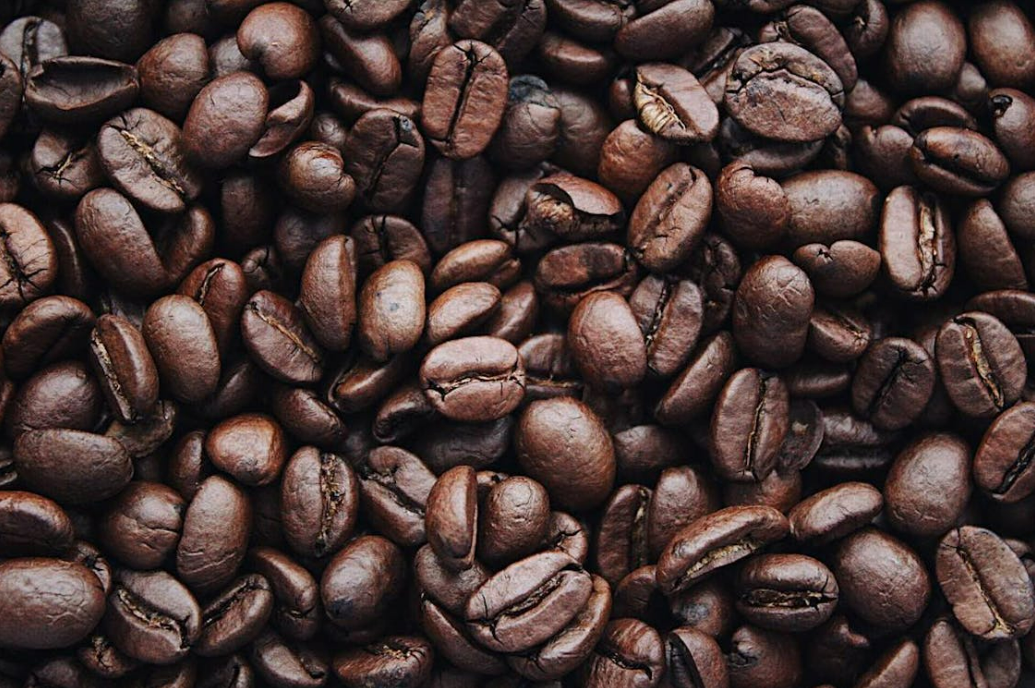 MOCRE INTL Cooperated with COFFEE TECH to Bid for BOP Grade Gesha: GN-02 La Roca - Finca Sophia